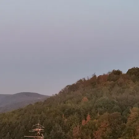 Schloss-see-bergblick