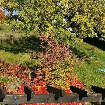 Apartment Schloss-see-bergblick *