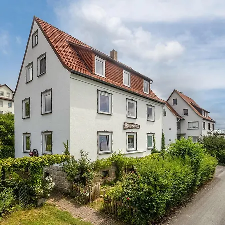 Schloss-see-bergblick *